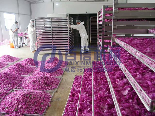 玫瑰花烘干現(xiàn)場